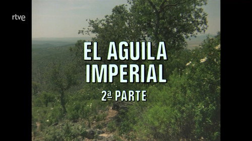 The Imperial Eagle II