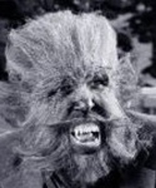 David Navratil