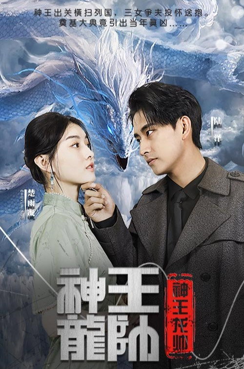 神王龙帅电影海报