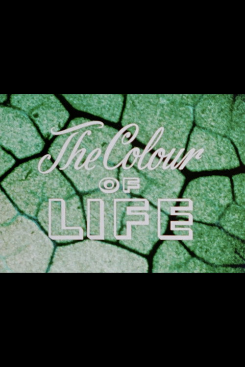 The Colour of Life Poster