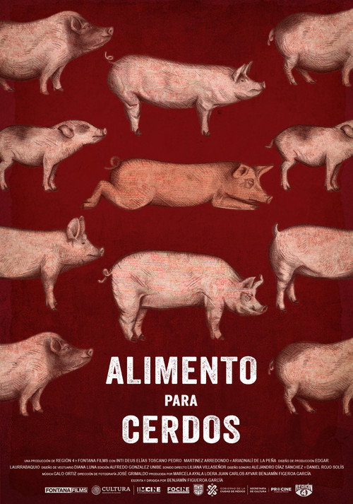 Alimento para cerdos电影海报