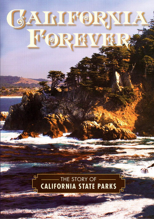 California Forever电影海报