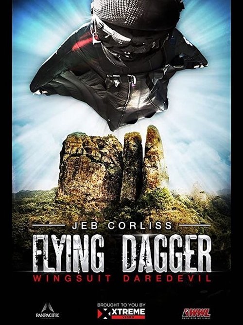Flying Dagger Poster
