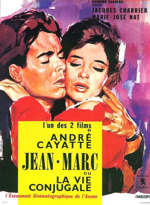 Anatomy of a Marriage: My Days with Jean-Marc poster 4