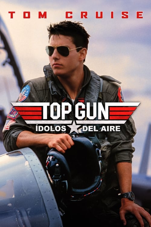 Top Gun: Ídolos del aire Poster