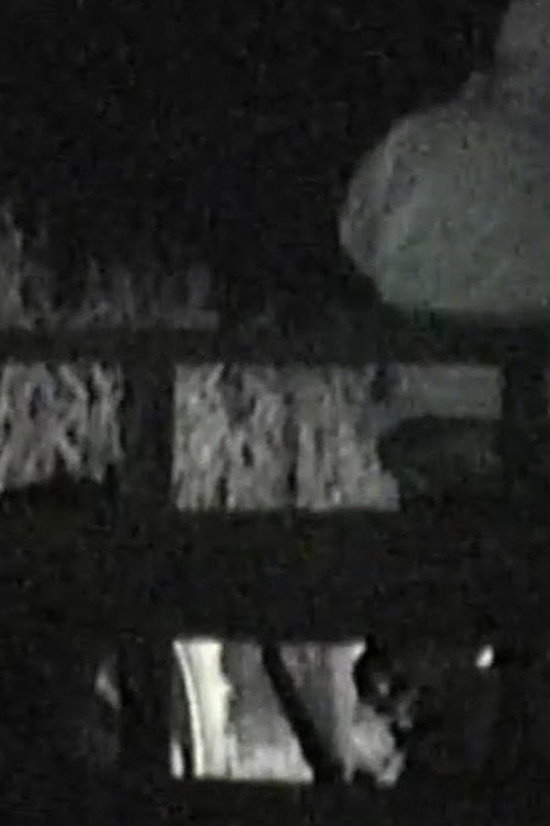 scary hollow (10-30-20) Poster