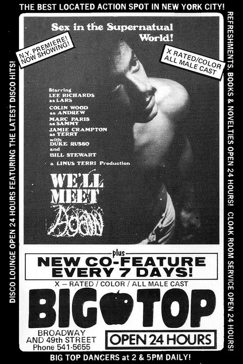 We'll Meet Again Poster