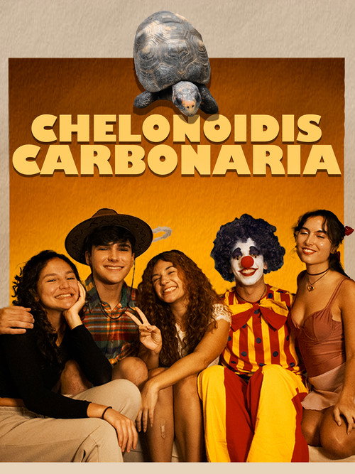 Chelonoidis Carbonaria poster 2