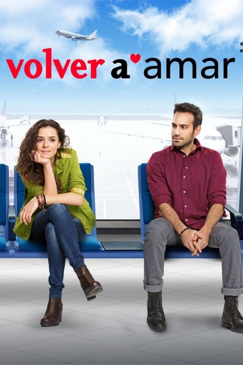 Poster of Amor A Segunda Vista