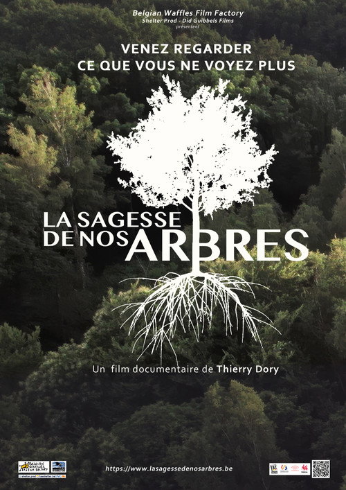 La sagesse de nos arbres