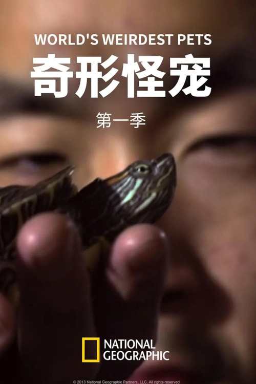 奇形怪宠电影海报