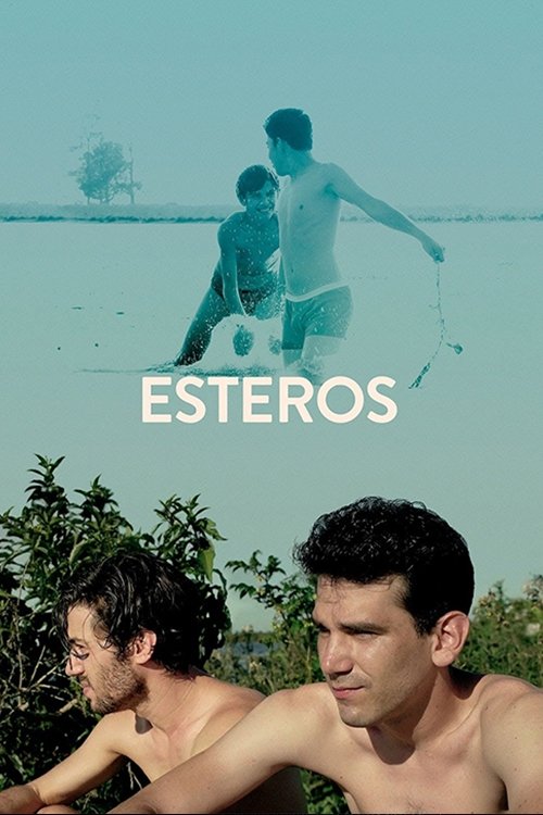 Esteros (2016) PelículA CompletA 1080p en LATINO espanol Latino