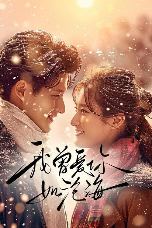 我曾爱你如沧海电影海报