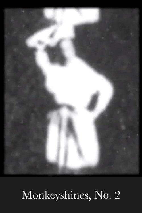 Poster of Monkeyshines, No. 2