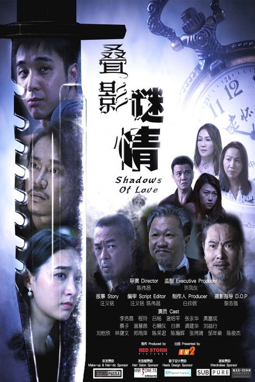 叠影谜情电影海报