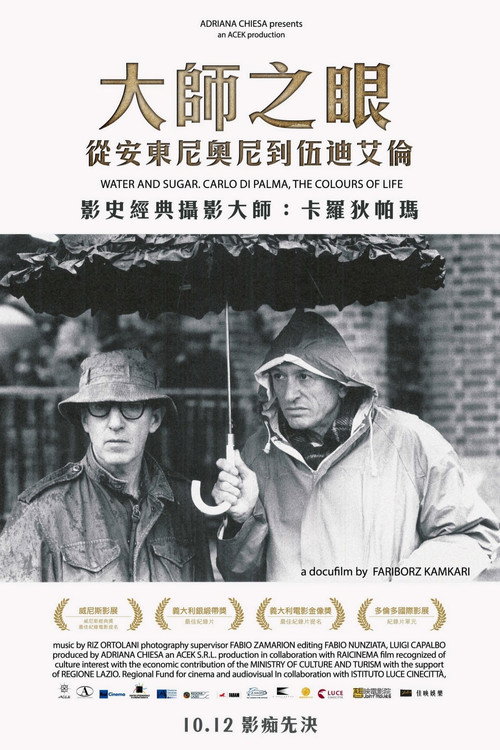 水与糖：摄影家卡洛&middot;迪&middot;帕尔马的生活与色彩电影海报