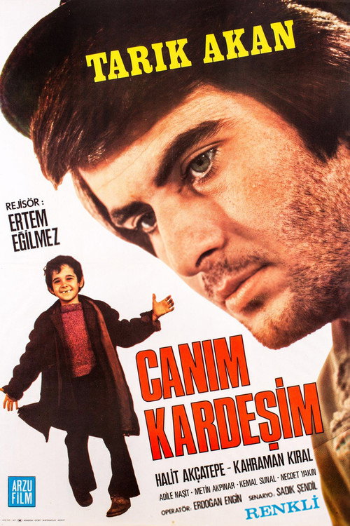 Canım Kardeşim电影海报