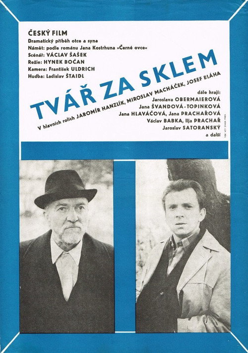 Tvář za sklem poster 2