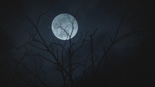 When Darkness Falls