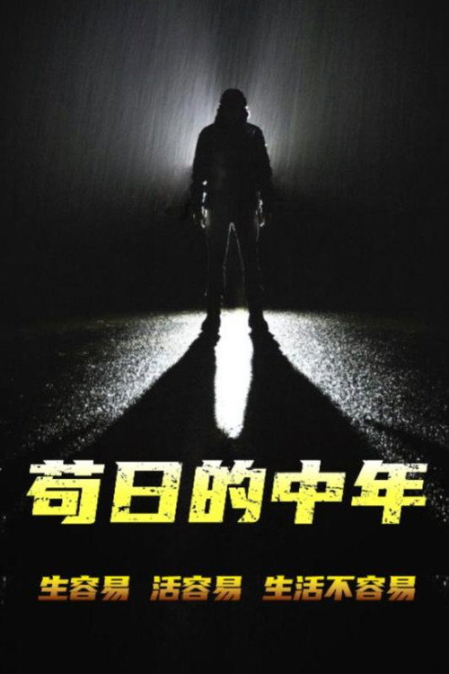 苟日的中年电影海报