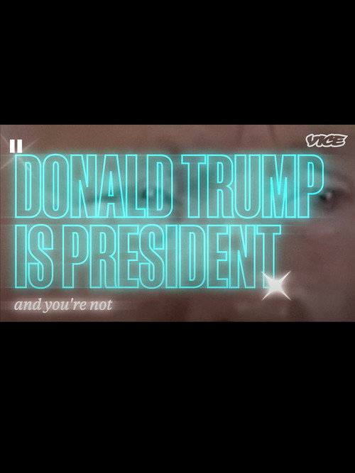 Donald Trump Is President and You're Not: A Portrait of Donald J. Trump poster 3
