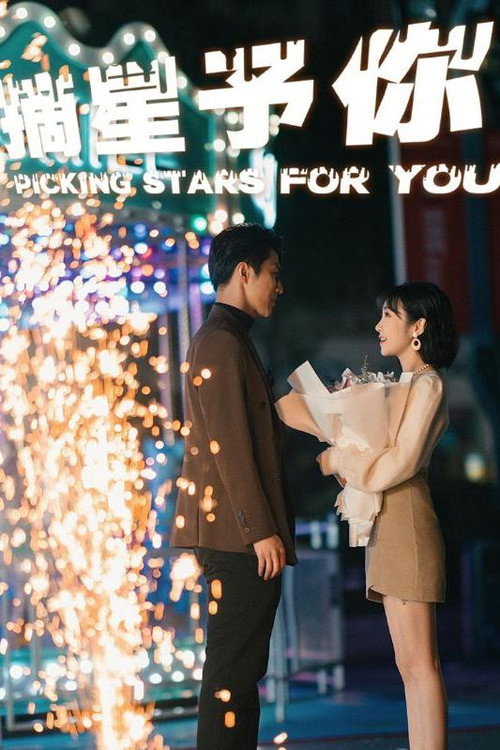 摘星予你电影海报
