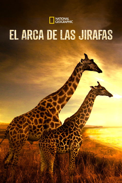 Salvando a las jirafas: El largo viaje a casa