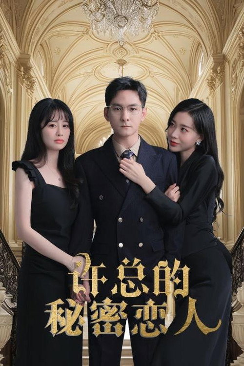 许总的秘密恋人电影海报