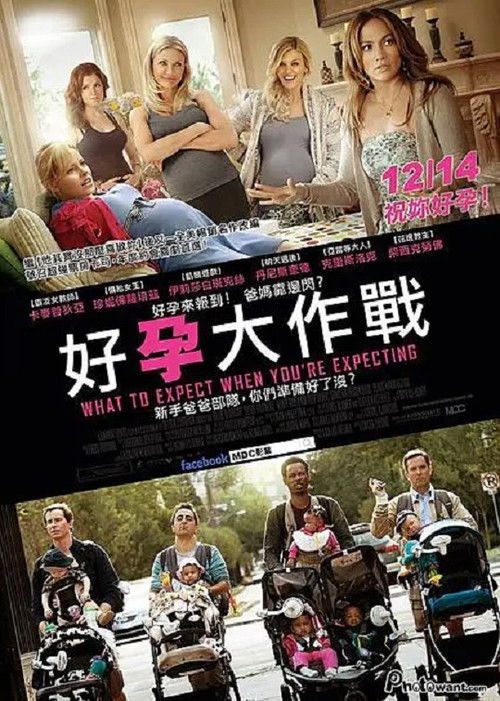 孕期完全指导电影海报