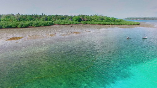 Mafia Island - Uncharted Paradise