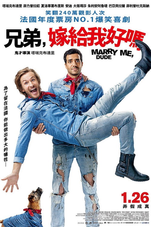嫁我吧，哥们电影海报