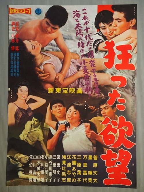 Crazy Desire poster 2
