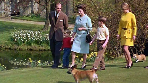 Royals & Animals: Till Death Do Us Part