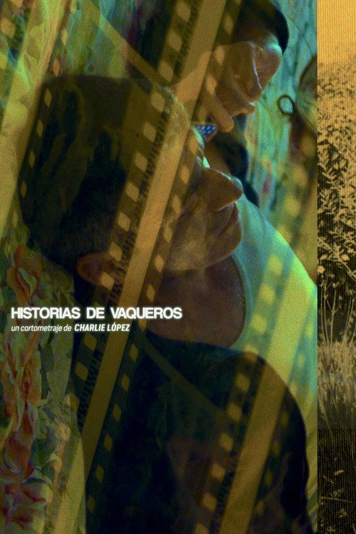 Cowboy Stories Poster