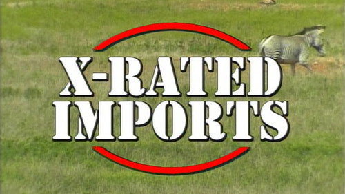 X Rated Imports