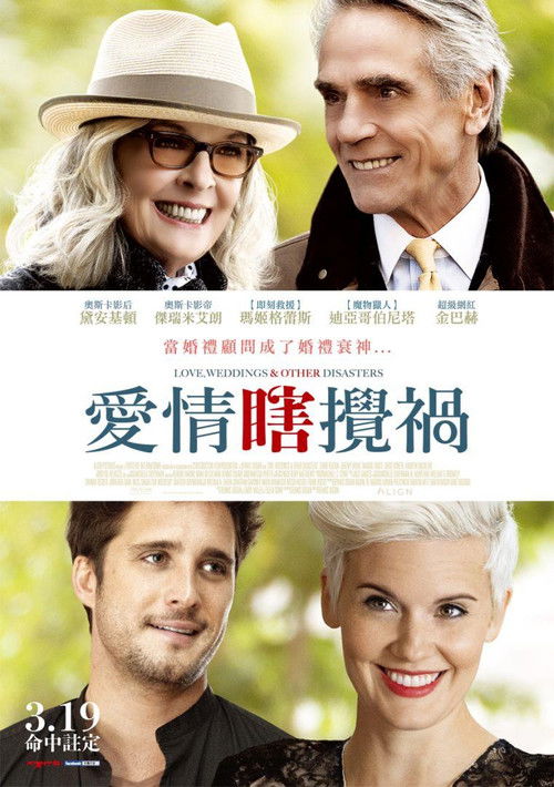 爱情，婚礼和其它灾难电影海报