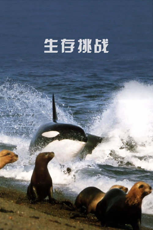 生存挑战海报