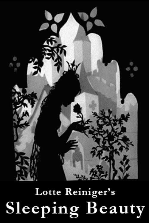 Poster of La bella durmiente