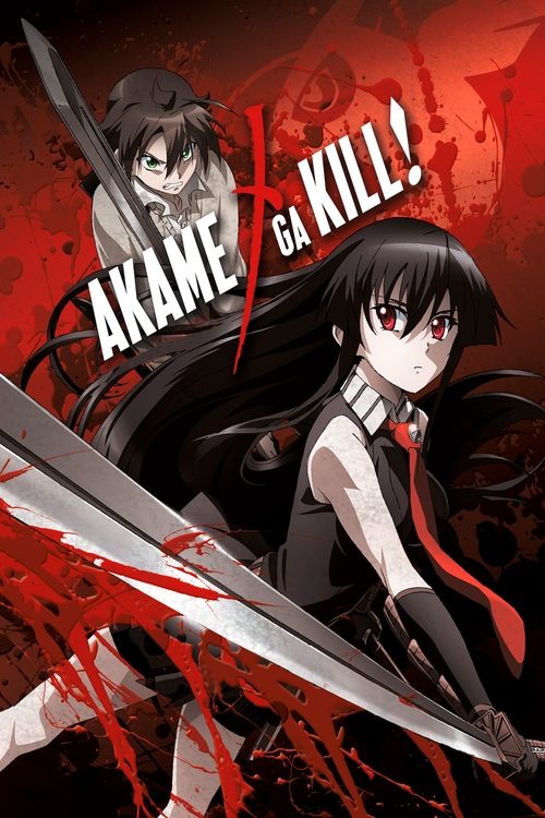 Poster of Akame ga Kill!