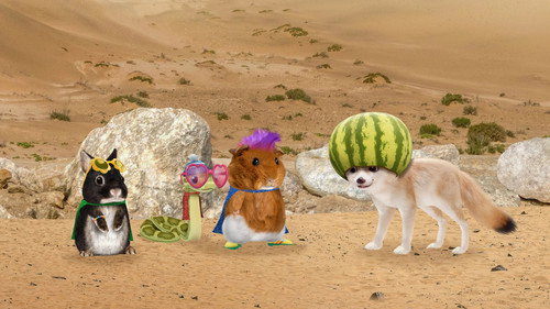 Wonder Pets: In the City第2季第7集