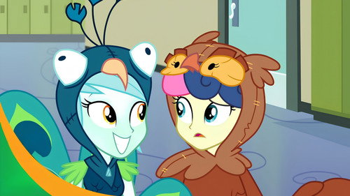 All's Fair in Love & Friendship Games