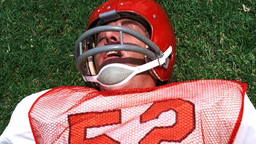 A Place to Run, A Heart to Hide In