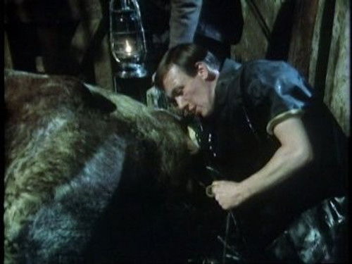 Pups, Pigs and Pickles