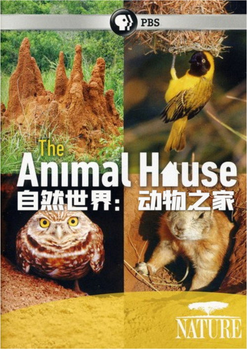 自然世界：动物之家电影海报