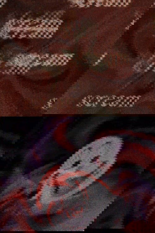 Scream