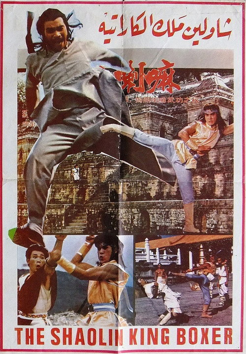 Iron Fists poster 2