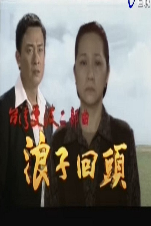 台湾曼波之浪子回头电影海报