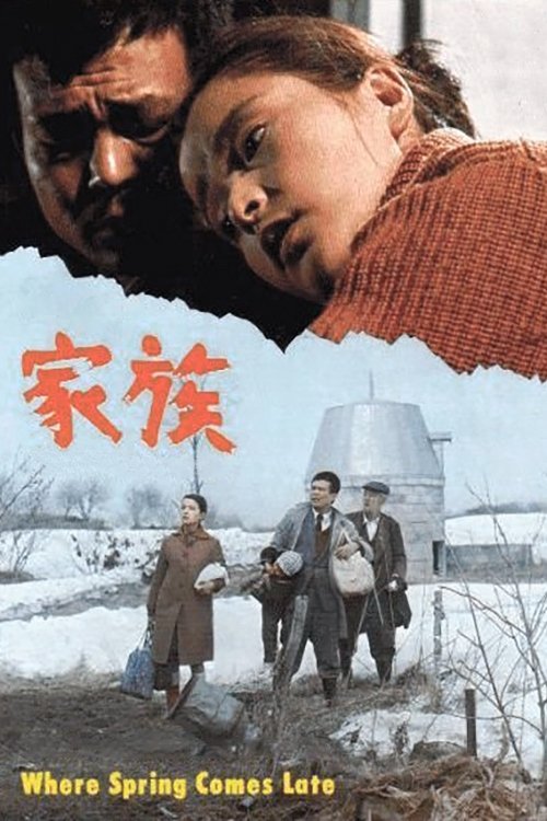 家族 poster