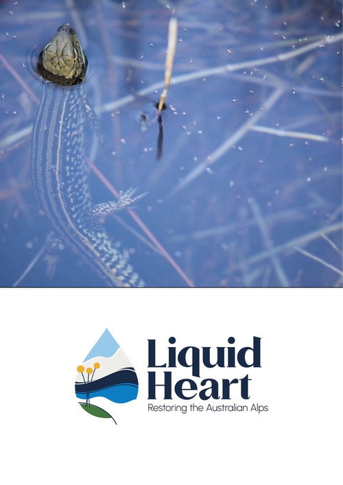 Liquid Heart: Restoring the Australian Alps's poster