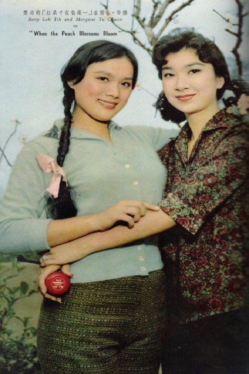 When the Peach Blossoms Bloom poster 3